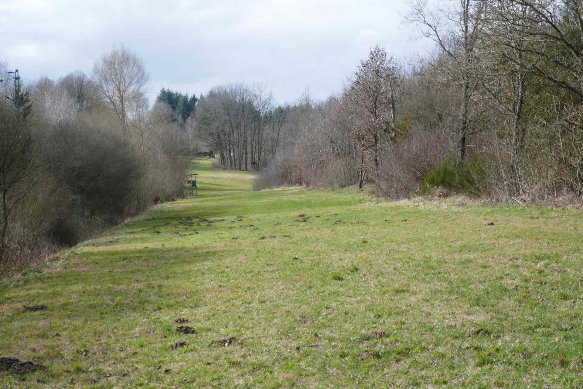 03 März - rund um Goldshöfe